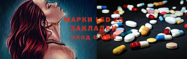 шишки Алексин