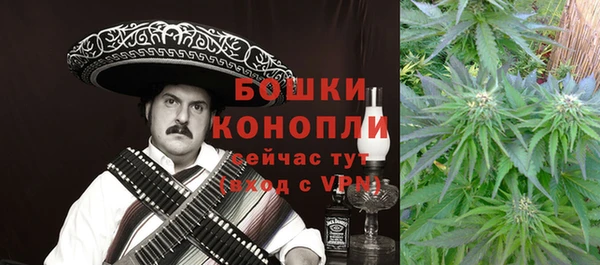 шишки Алексин